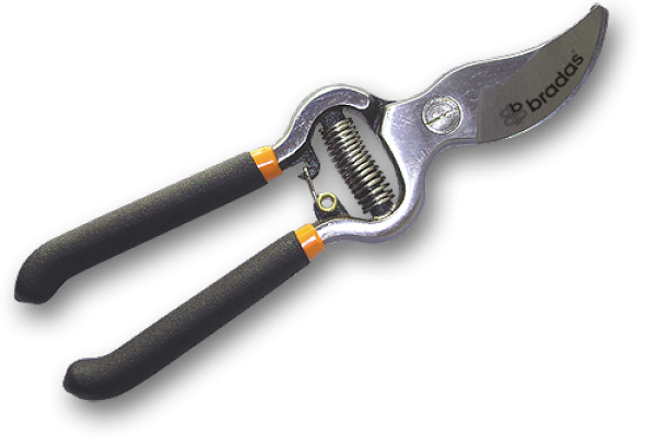 Bradas Kt-Rg1009