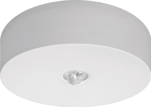 Nødlysarmatur AXN IP65 ECO LED 1W 125lm, 1 time, en-krops hvid (AXNO/1W/ESE/X/WH )
