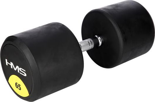 Gummihantel 65Kg Hms Hg Pro 65