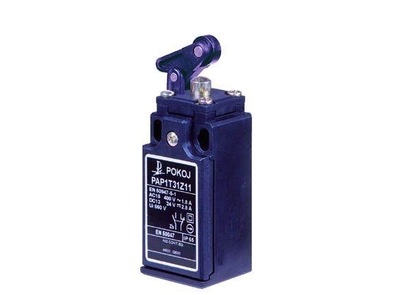 Raumendschalter Pap1 T31 Pz11 A37-1050
