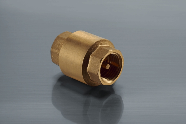Valvex Spring Check Valve With 3/4 "Metal Stem 1900210
