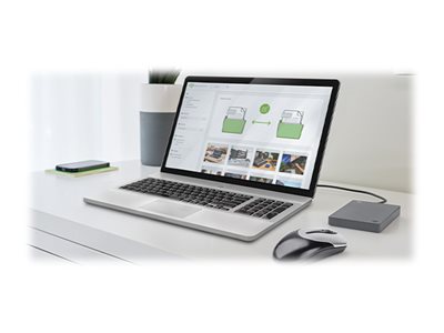Seagate Basic STJL5000400 - Hårddisk - 5 TB - extern (bärbar) - USB 3.0 - grå | Datorkomponenter - Hårddisk & Lagring - Externa hårddiskar | GameStuff