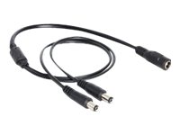 Delock - Strøm-splitter - DC jackstik 5,5 x 2,1 mm (han) til DC jackstik 5,5 x 2,1 mm (hun) - 50 cm