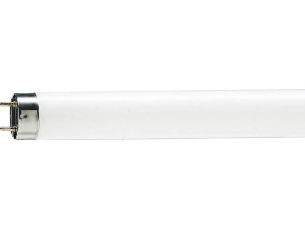 Philips MASTER TL-D Food, 58,5 W, G13, T8, 2800 lm, Hvid