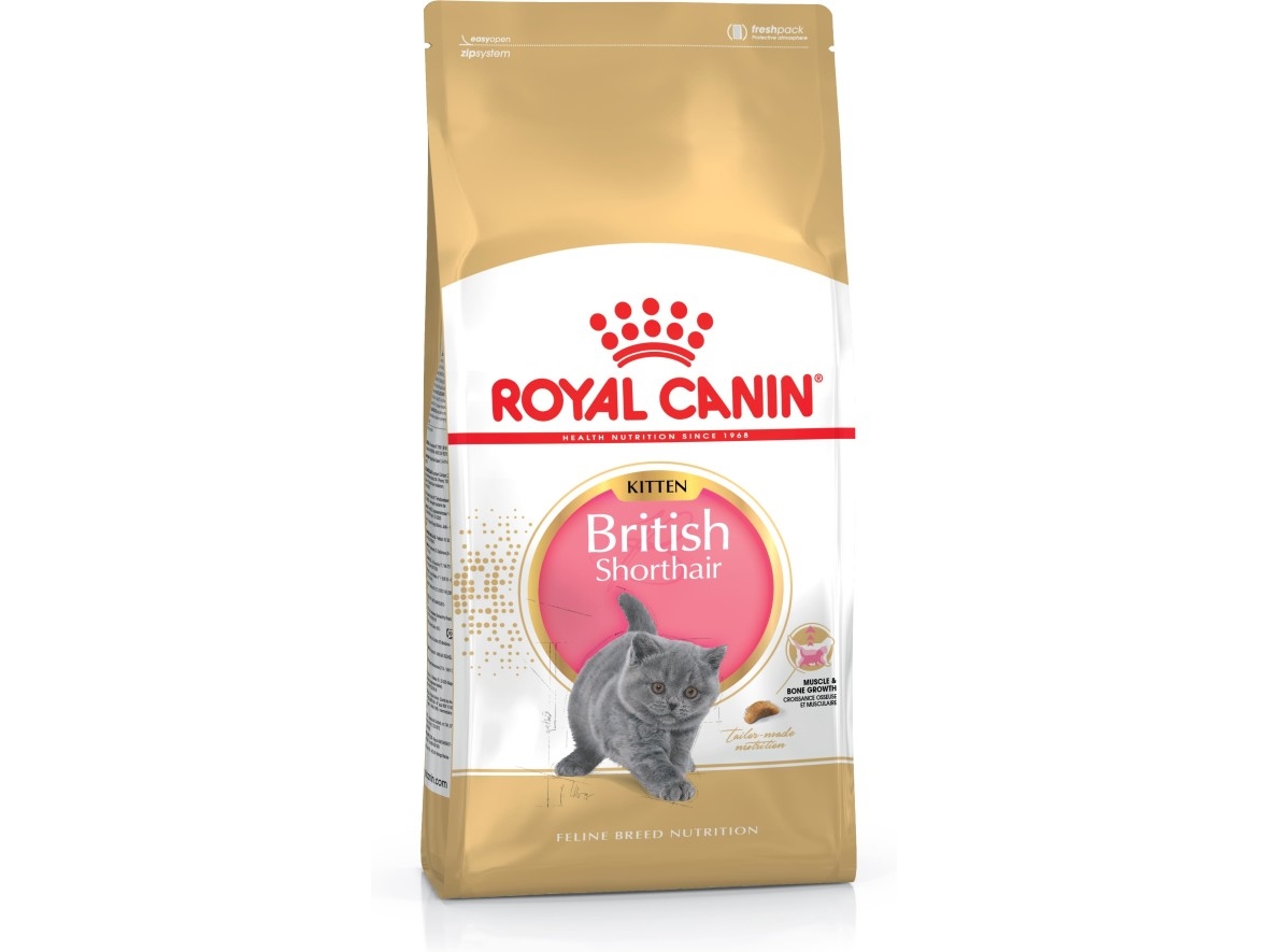 Royal Canin British Shorthair Kitten, Kitten, Britisch Kurzhaar, Geflügel, Reis, Gemüse, 2 Kg, Antioxidantien Enthalten