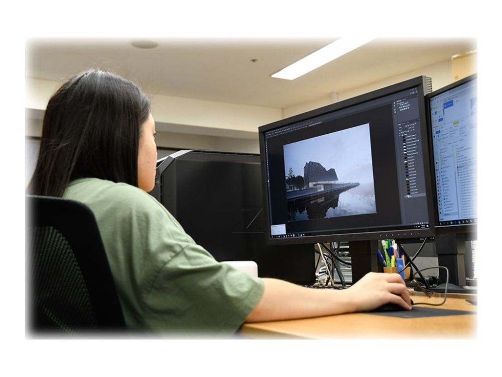 Eizo Coloredge Cs2731 - Led-Skærm - 27" - 2560 X 1440 Wqhd @ 60 Hz - Ips - 350 Cd/M² - 1000:1 - 10 Ms - Displayport, Hdmi, Dvi-D, Usb-C - Sort