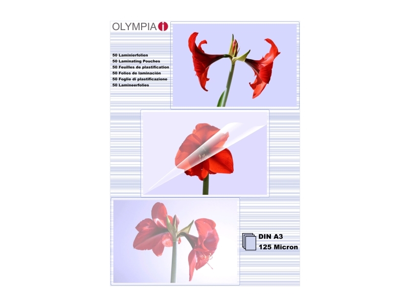 Olympia 1X50 Din A3 125 Micron, Transparent, A3, 50 Stk