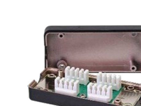 Inline-Modul Lsa, Cat .6 (69992B)