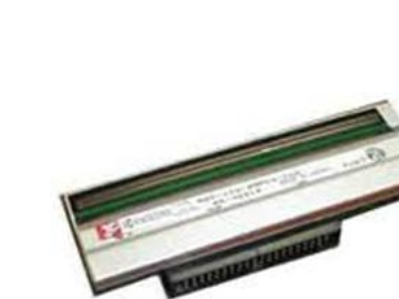 Zebra - 300 dpi - printhoved - for Zebra ZT220, ZT230