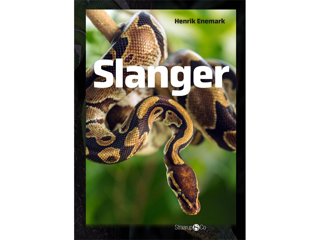 Slanger | Henrik Enemark