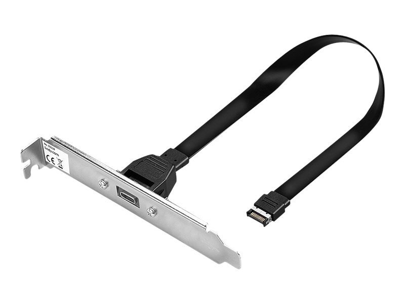 Lindy - Usb-Panel - Usb-C (Hun) Til 20 Pin Usb 3.1 Samlekasse (Han) - 45 Cm - Sort
