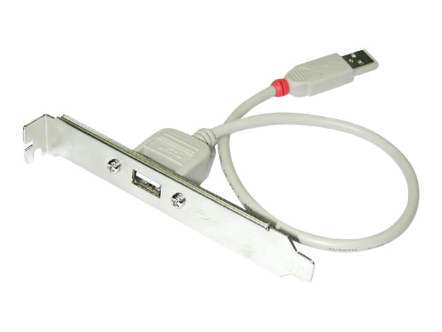 Lindy 33123, 0,3 M, Usb Typ-A, Usb Type A, Männlich, Weiblich, Gerade