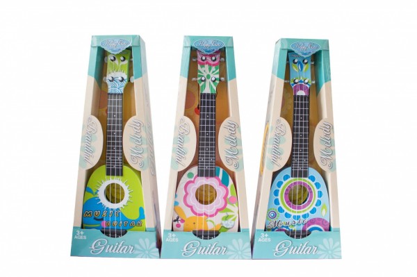 Colorful String Guitar In A Box