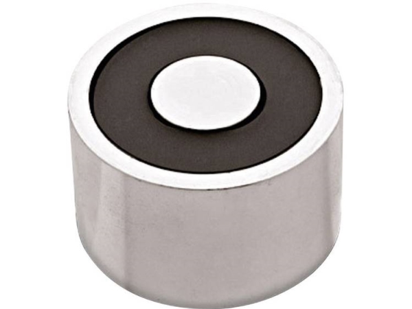 Red Magnetics Its-Pe3529-24Vdc Elektromagnet (Stromloser Zustand) 300 N 24 V/Dc 28 W 1 Stk