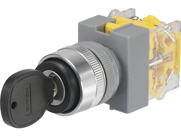 Tru Components Y090-A-20Y/33 Schlüsselschalter 250 V/Ac 5 A 2 X (Ein)/Aus/(Ein) 2 X 45° Ip40 1 St