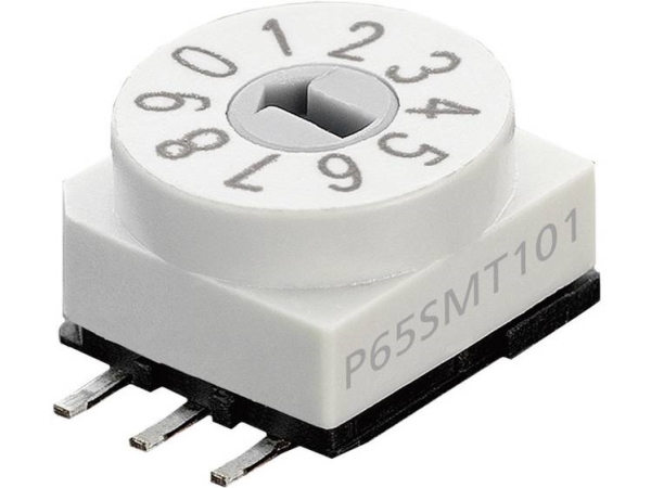 Ptr Hartmann P65smt 101 Codierkontakt Bcd 0-9 Schaltstellungen 10 1 Stk