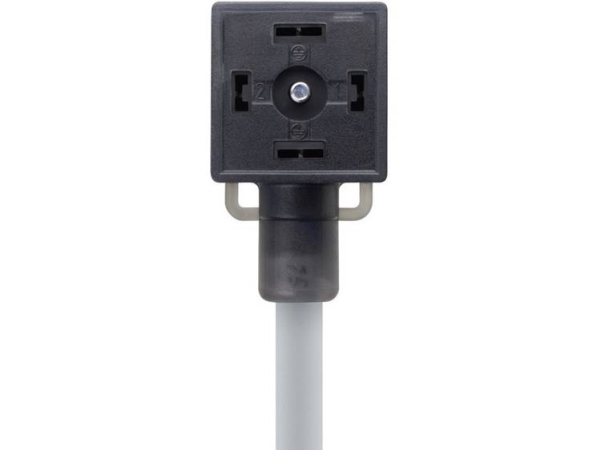 Escha Va21-230.0-5/P01 8047823 Schwarz Pole:2+Pe Inhalt: 1 Stück