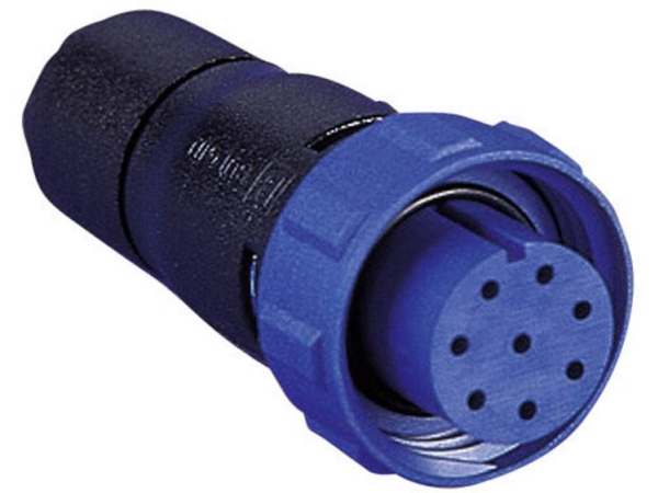 Bulgin Px0410/03S/5560 Rundsteckverbinder Steckverbinder, Gerade Serie (Rundsteckverbinder): Px04 Gesamtzahl Der Pole: 3 1 St