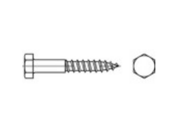 Toolcraft 1061326 Sekskantsskrue 16 Mm 120 Mm Udvendig Sekskant Din 571 Rustfrit Stål A4 10 Stk
