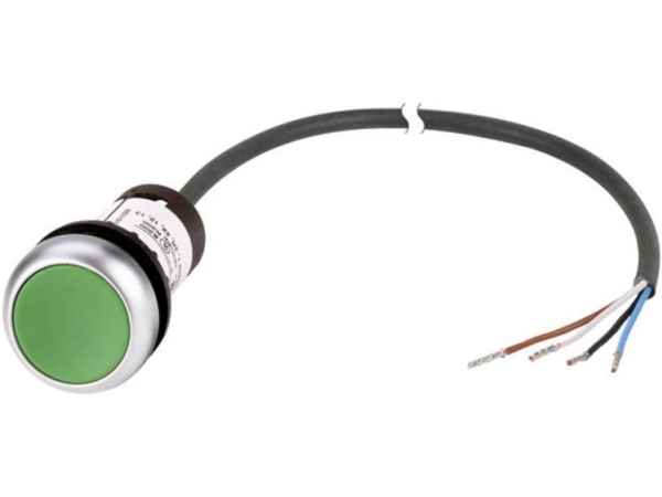 Eaton Drucktaster Flach Grün C22-D-G-K10-P62 1 St. (185670)