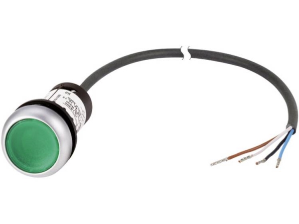 Eaton Drucktaster Flach Grün C22-Dl-G-K10-24-P62 1 St. (185586)