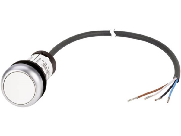 Eaton Drucktaster Flach Weiß C22-D-W-K10-P62 1 St. (185673)