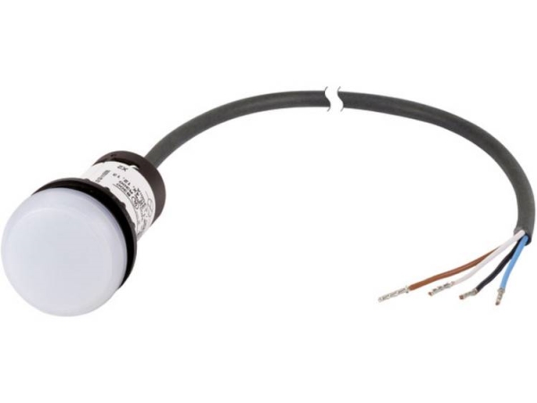 Eaton C22-L-W-24-P62 Signalleuchte Flach Weiß 24 V Dc/Ac 1 St