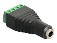 Delock - Audio-adapter - 4 stifts terminalblock hona till mini-phone stereo 3.5 mm hona | Datortillbehör - Kablar & adaptrar - Ljudkablar | GameStuff