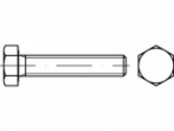 Toolcraft To-5367120 Sekskantsskruer M20 170 Mm Udvendig Sekskant Iso 4017 Rustfrit Stål A2 10 Stk