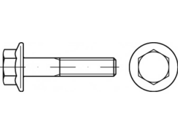 Toolcraft Sechskantschraube M5 10 Mm Außensechskant 500 Stk.