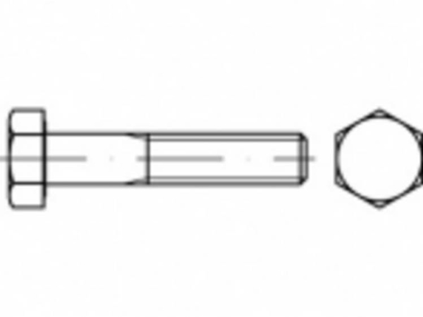 Toolcraft To-5400843 Sechskantschraube M4 40 Mm Innen Torx? (Korrekt: Innen-Sechskant) Stahl Verzinkt 500 Stk