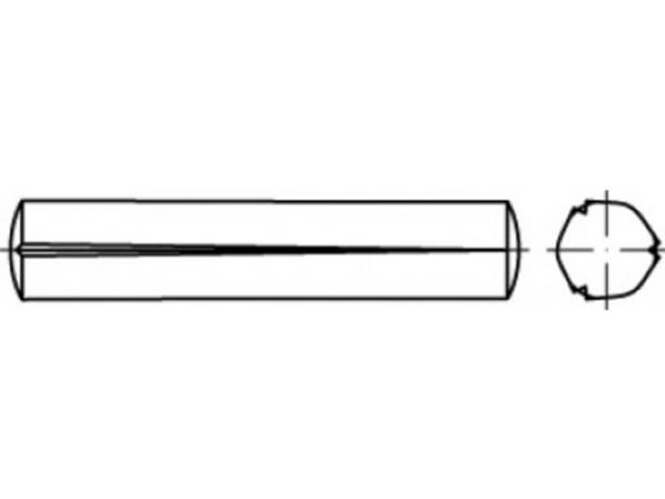Toolcraft To-5438211 Kegelkerven-Nägel 1,5 Mm Stahl 250 Stk.