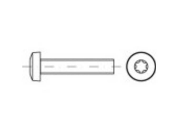 Toolcraft To-5440698 Linsenkopfschrauben M2 16 Mm Innensechskant Stahl Verzinkt (2000 St.)