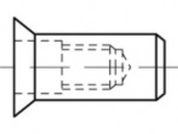 Toolcraft To-5444304 Blindnittemøtrik M5 Stål 500 Stk