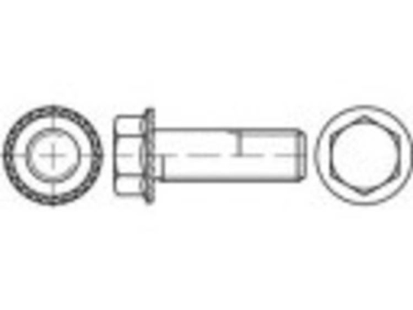 Toolcraft FortanDer Schraube Mit Sechskant M12 20 Mm Außensechskant 88933 100 Stk