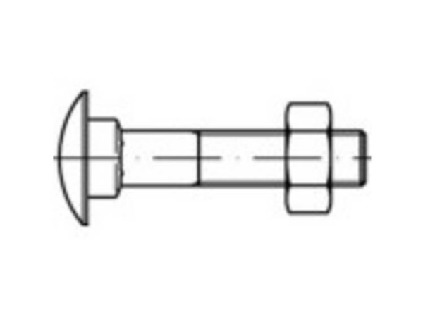 Toolcraft To-5448267 Runde, Flache Schrauben M6 16 Mm Vierkant Din 603 Messing, 100 Stk