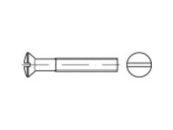 Toolcraft Senk-Linsenschrauben Mit Schlitz M5 10 Mm Schlitz Din 964 Messing 200 Stk