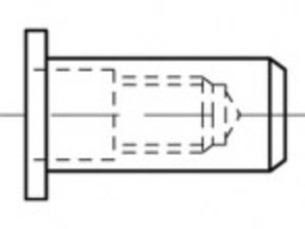 Toolcraft To-5455269 Blindnittemøtrik M5 500 Stk