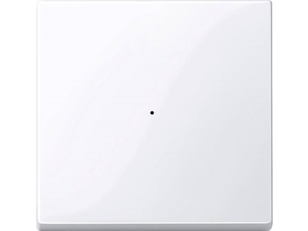 Merten Merten Knx Systeme 619125 Wippenkontakt