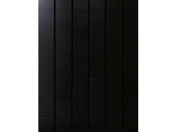 Phaesun Sun Pearl 150 Monokrystallint Solcellemodul 150 Wp 12 V