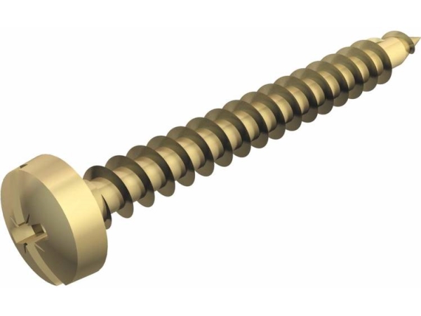 Vertr Golden-Sprintschraube+/- Panhead 4X30mm 47 (3195244)