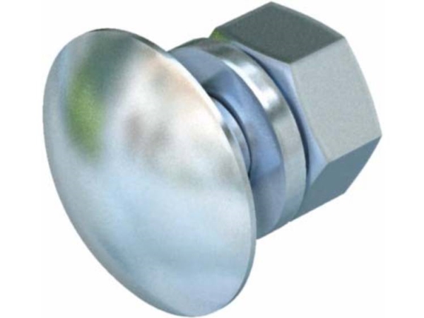 Frs 10X20 F Flachrundschraube (6407471)