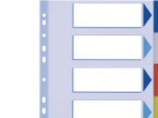 Esselte Avdelare, PP, A4, Tomma registerflikar, Polyvinylklorid (PVC), Multifärg, Poträtt, A4, 225 mm | Arkivering - Tabblad - PP-Tabblad & Register | GameStuff