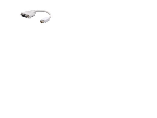 Lindy Mini-Dvi To Dvi-D Cable, 0,20 M, Mini-Dvi, Dvi-D, Hvid