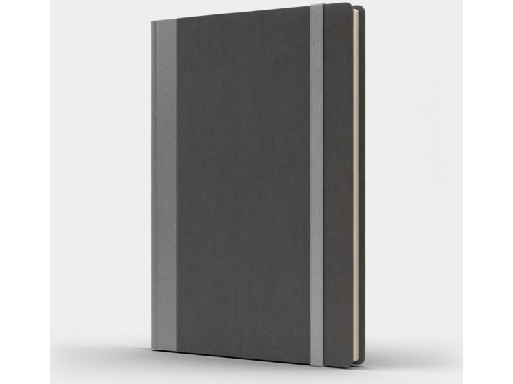 Like U Notepad A5 Pro M+ Dots Grau/Silber |