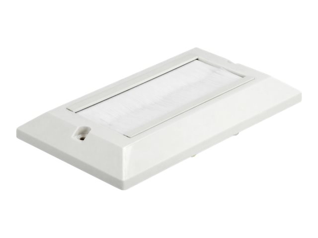 Delock Cable Management Cover 146 X 86 Mm With White Brush Strips - Kabeladministrationspaneldække - Vægmonterbar - Hvid
