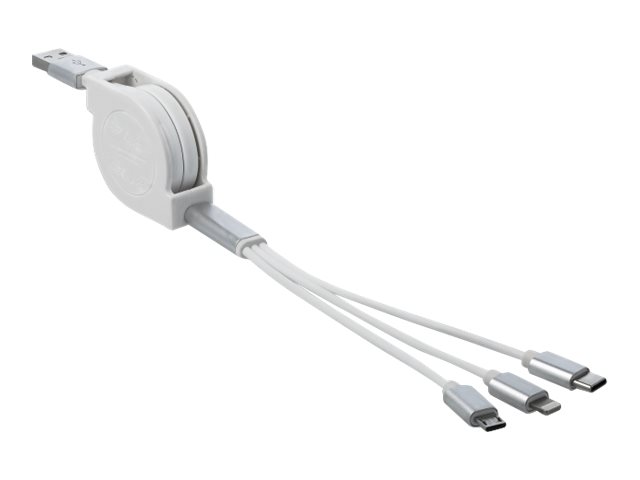 Delock 85850, 0,98 M, Usb A, Usb C/Micro-Usb B/Lightning, Usb 2.0, Silber, Weiß