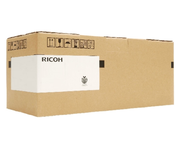 Ricoh Development Unit:C:J-C0:As B1163012