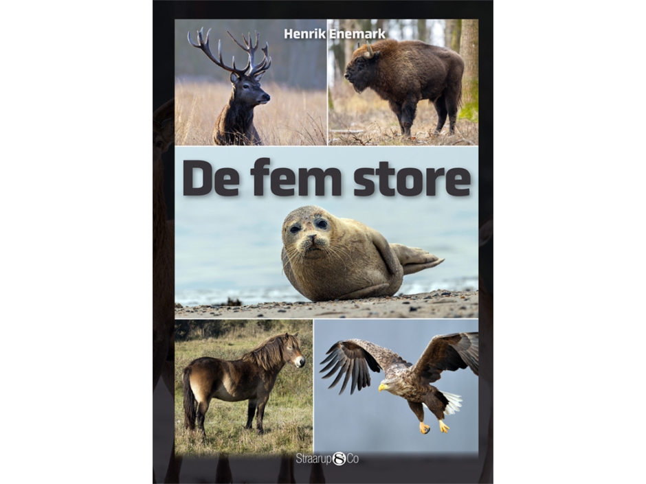 De Fem Store | Henrik Enemark