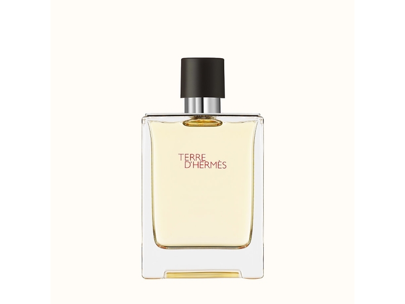 Hermès Hermes Terre d' Eau de Toilette Spray - 100 ml